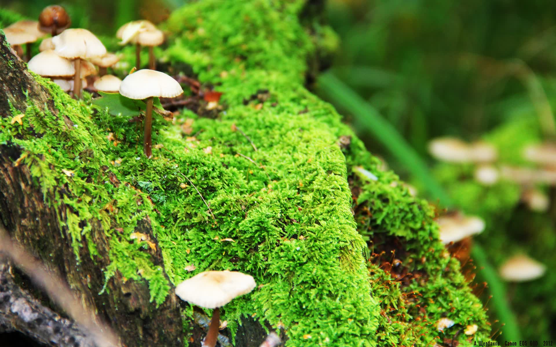 世界举重康复继续教育学分体系上线：鼓励理疗师持续学习，世界举重协会官网